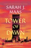 Book Tower of Dawn