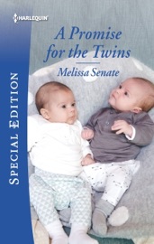 A Promise for the Twins - Melissa Senate