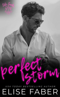 Perfect Storm by Elise Faber