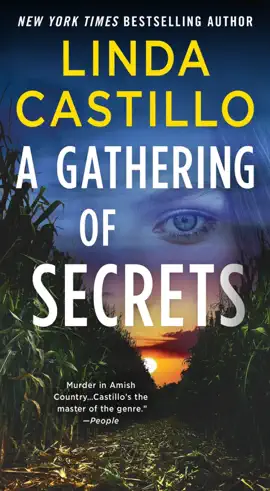 Read: A Book Gathering of Secrets