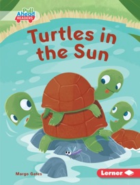 Turtles in the Sun - Margo Gates