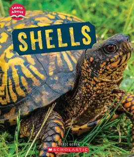 Read: Shells (Learn Book About: Animal Coverings)