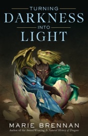 Turning Darkness Into Light - Marie Brennan