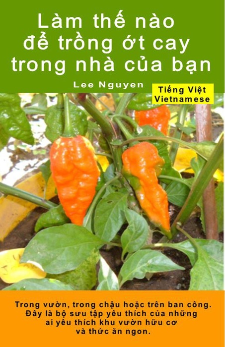 Làm thế nào để trồng ớt cay trong nhà của bạn. Trong vườn, trong chậu hoặc trên ban công