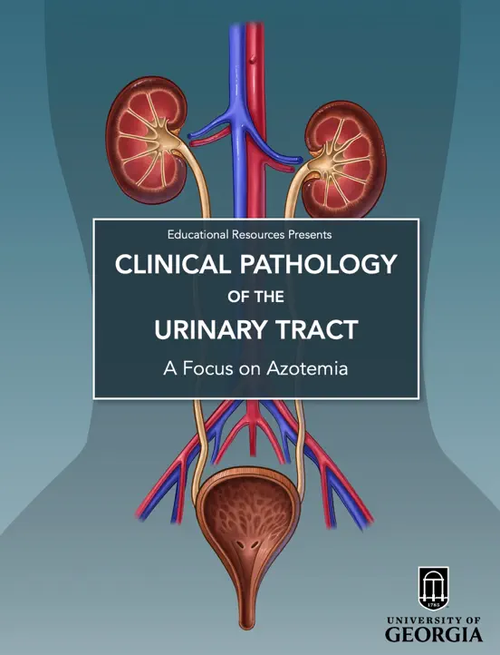 Clinical Pathology of the Urinary Tract