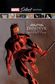Daredevil: The Man Without Fear Marvel Select - Frank Miller