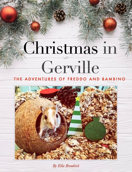 Christmas in Gerville