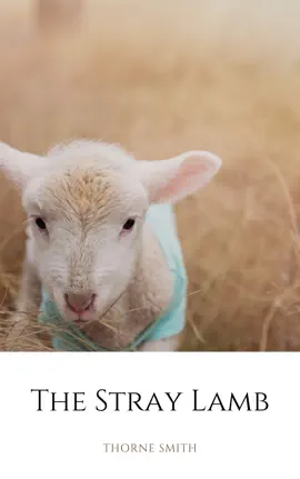 Read: The Stray Lamb Book