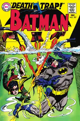 Read: Batman Book (1940-2011) #207