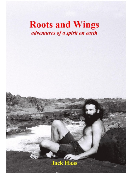 Roots and Wings: Adventures of a Spirit on Earth