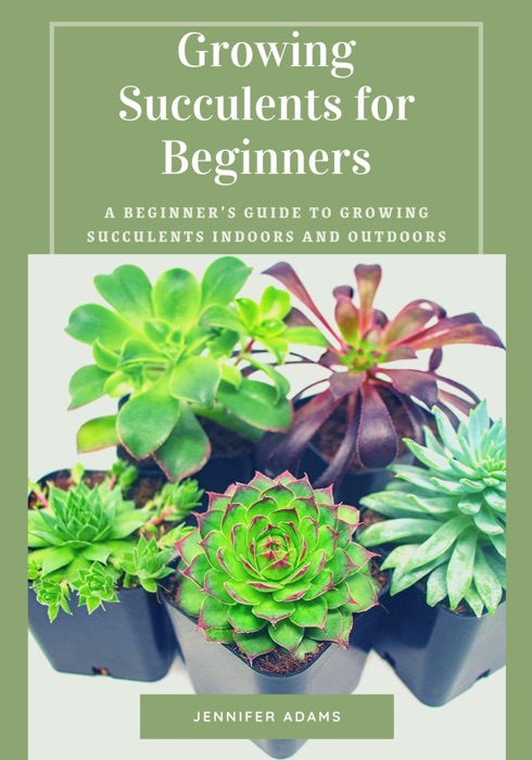 Growing Succulents for Beginners; A Beginner’s Guide to Growing Succulents Indoors and Outdoors