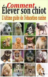 Comment élever son chiot : l’ultime guide de l'éducation canine