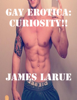 James Larue - Gay Erotica: Curiosity!! artwork