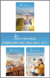 Harlequin Love Inspired February 2021 - Box Set 1 of 2 - Patricia Davids, Jill Lynn & Gabrielle Meyer