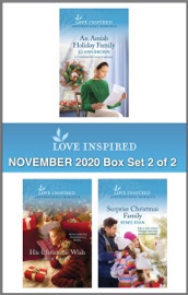 Harlequin Love Inspired November 2020 - Box Set 2 of 2 - Jo Ann Brown, Allie Pleiter & Renee Ryan