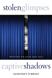 Stolen Glimpses, Captive Shadows - Geoffrey O'Brien