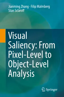 Read: Book Visual Saliency: From Pixel-Level to Object-Level Analysis