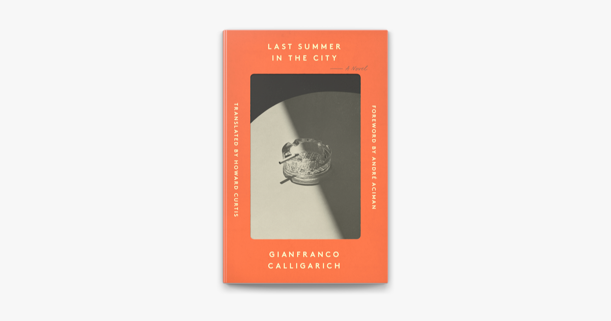 Last Summer In The City On Apple Books