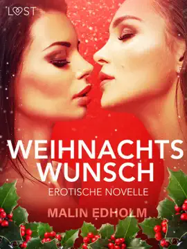 Weihnachtswunsch: Erotische Novelle