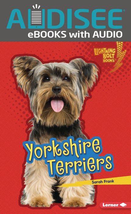 Yorkshire Terriers (Enhanced Edition)