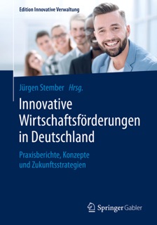 Innovative Wirtschaftsförderungen in Deutschland by Jürgen Stember