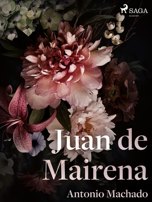 Juan de Mairena