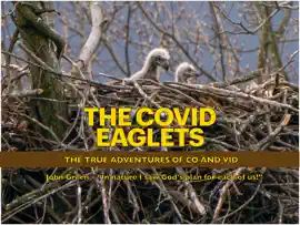 Read: Book THE COVID EAGLETS