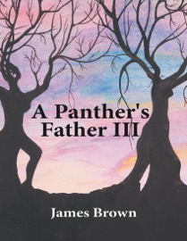 A Panther's Father III - James Brown