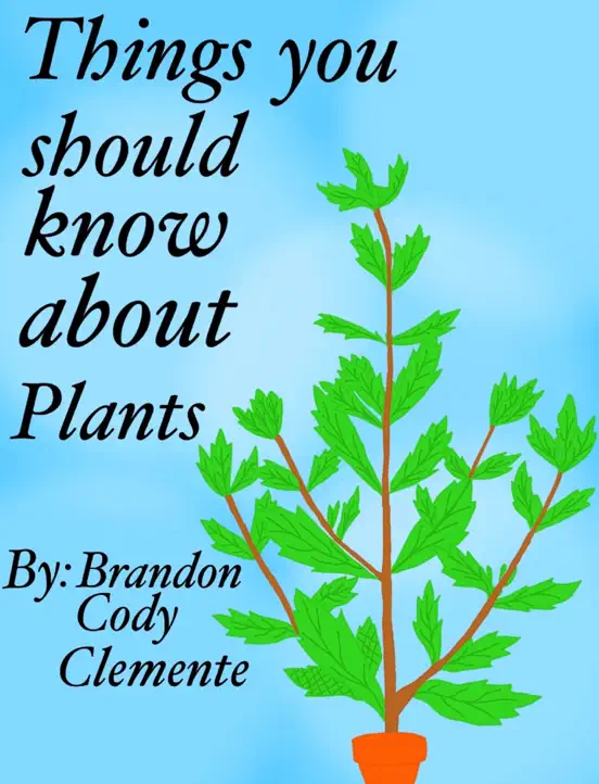 Things you should know about Plants