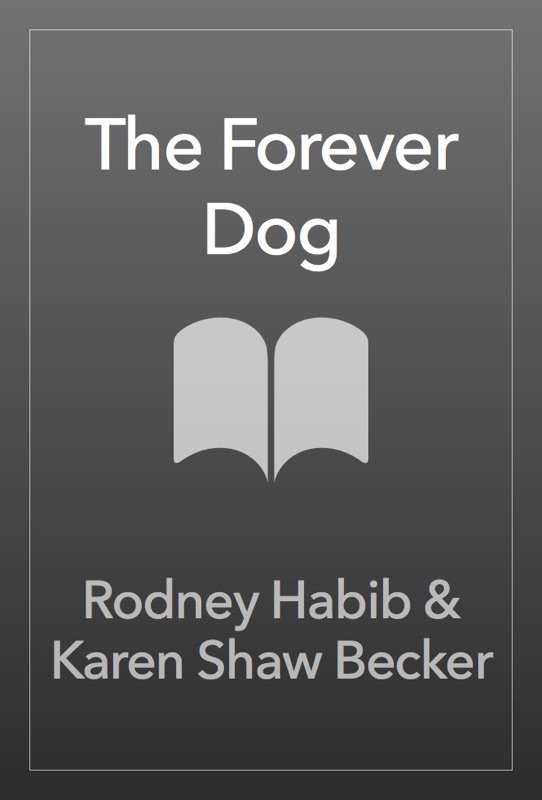 The Forever Dog