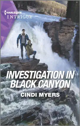 Read: Investigation in Black Book Canyon