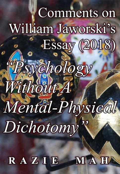 Comments on William Jaworski’s Essay (2018) 