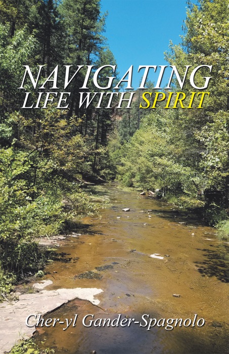 Navigating Life with Spirit