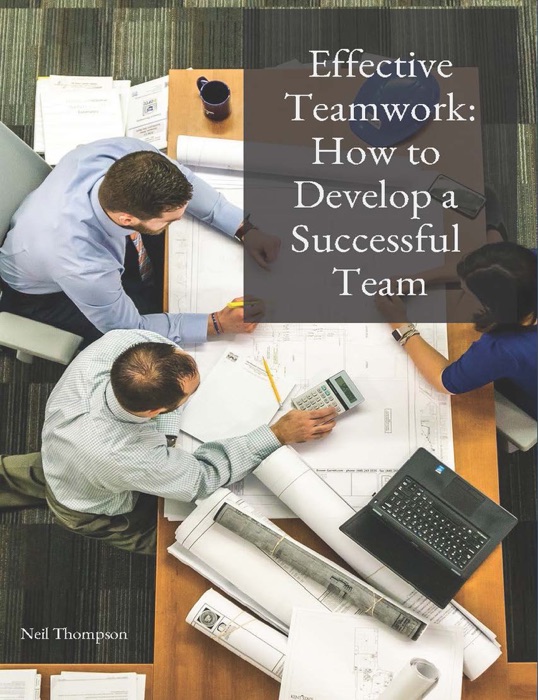Effective Teamwork: How to Develop a Successful Team