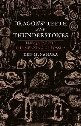 Read: Dragons’ Teeth and Thunderstones Book