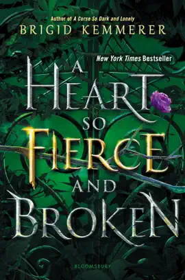 Read: A Book Heart So Fierce and Broken