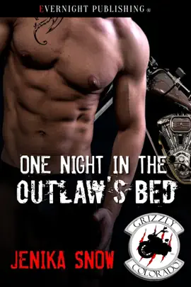 Read: One Night in the Book Outlaw's Bed