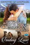 Finding Love by Brenda Clemmons Book Summary, Reviews and Downlod
