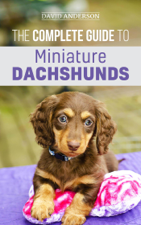 The Complete Guide to Miniature Dachshunds - David Anderson Cover Art