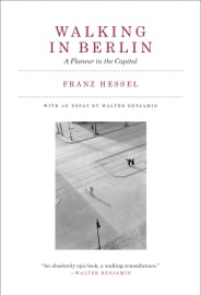 Walking in Berlin - Franz Hessel, Walter Benjamin & Amanda DeMarco