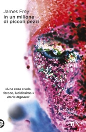 In un milione di piccoli pezzi - James Frey