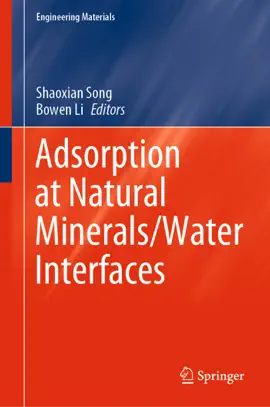 Read: Book Adsorption at Natural Minerals/Water Interfaces