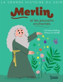 Merlin et les pouvoirs enchantés by Christine Palluy & Prisca le Tandé
