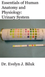 Essentials of Human Anatomy and Physiology: Urinary System