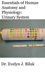 Essentials of Human Anatomy and Physiology: Urinary System by Dr. Evelyn J. Biluk