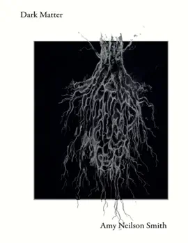Dark Matter