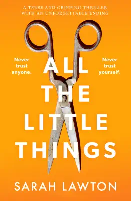 All The Little Things by Sarah Lawton book