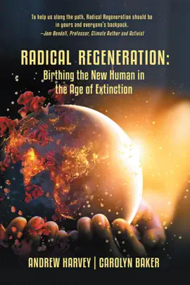 Read: Radical Book Regeneration: