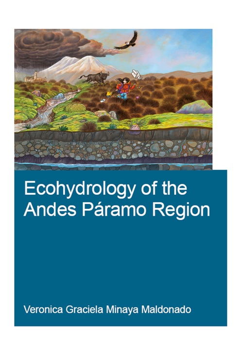 Ecohydrology of the Andes Páramo Region