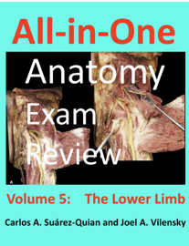 All-in-One Anatomy Exam Review: Volume 5. The Lower Limb